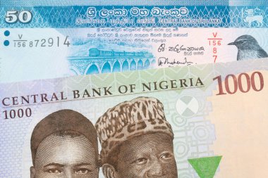 Nijerya 'dan gelen mavi, mor ve yeşil bin nairalık bir banknotun makro görüntüsü Sri Lanka' dan gelen mavi ve beyaz 50 rupilik bir banknotla eşleştirildi. Makro çekimde yakın çekim.