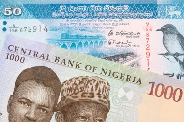 Nijerya 'dan gelen mavi, mor ve yeşil bin nairalık bir banknotun makro görüntüsü Sri Lanka' dan gelen mavi ve beyaz 50 rupilik bir banknotla eşleştirildi. Makro çekimde yakın çekim.