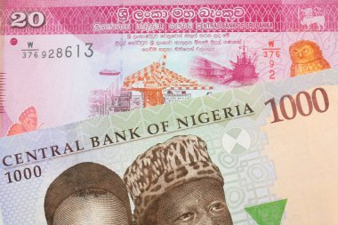 Nijerya 'dan gelen mavi, mor ve yeşil bin nairalık bir banknotun makro görüntüsü Sri Lanka' dan gelen pembe ve beyaz bir 20 rupi banknotla eşleştirildi. Makro çekimde yakın çekim.