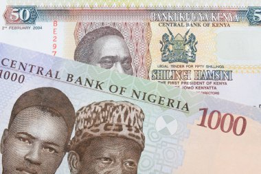 Nijerya 'dan gelen mavi, mor ve yeşil 1000 nairalık bir banknotun makro görüntüsü Kenya' dan gelen 50 şilinlik bir banknotla eşleştirildi. Makro çekimde yakın çekim.