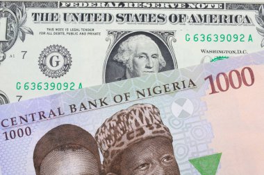 Nijerya 'dan gelen mavi, mor ve yeşil 1000 nairalık bir banknotun makro görüntüsü ABD' den gelen bir dolarlık yeşil banknotla eşleştirildi. Makro çekimde yakın çekim.