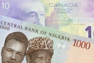 Nijerya 'dan mavi, mor ve yeşil bin nairalık bir banknotun makro görüntüsü Kanada' dan gelen mor on dolarlık banknotla eşleştirildi. Makro çekimde yakın çekim.