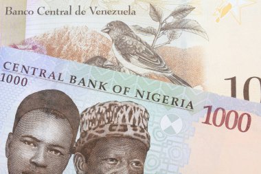 Nijerya 'dan gelen mavi, mor ve yeşil 1000 nairalık bir banknotun makro görüntüsü Venezuela' dan gelen 100 Bolivar banknotuyla eşleştirildi. Makro çekimde yakın çekim.
