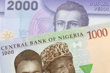 Nijerya 'dan gelen mavi, mor ve yeşil bin nairalık bir banknotun makro görüntüsü. Mor, iki bin Şili pesosuyla eşleştirilmiş. Makro çekimde yakın çekim.