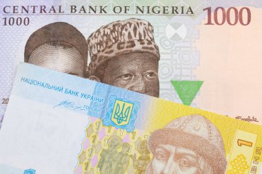 Nijerya 'dan mavi, mor ve yeşil bin nairalık bir banknotun makro görüntüsü Ukrayna' dan gelen mavi, beyaz ve sarı bir hyrvnia banknotuyla eşleştirildi. Makro çekimde yakın çekim.