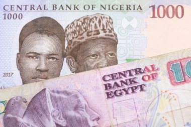 Nijerya 'dan gelen mavi, mor ve yeşil bin nairalık bir banknotun makro görüntüsü, Mısır' dan gelen pembe ve mor bir 10 pound 'luk banknotla eşleştirildi. Makro çekimde yakın çekim.