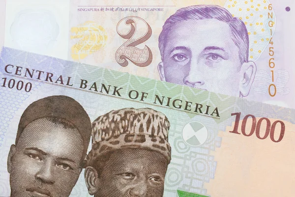Макро Зображенні Синьої Фіолетової Зеленої Банкноти Тисячу Найр Нігерії Зображено — стокове фото