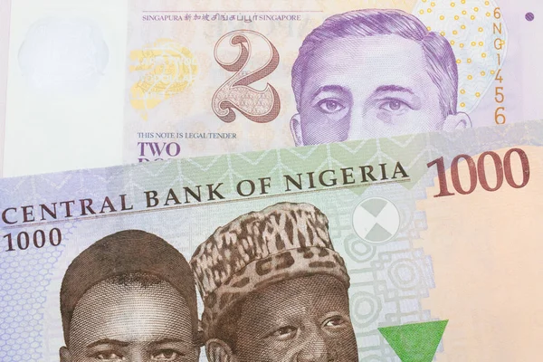 Makroobraz Niebieskiego Fioletowego Zielonego Banknotu Tysiąca Naira Nigerii Połączony Fioletowo — Zdjęcie stockowe