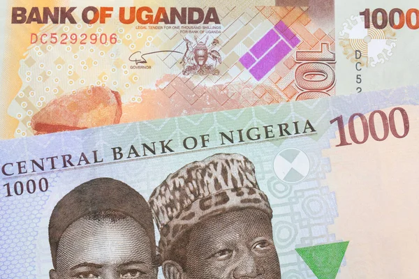 Makroobraz Niebieskiego Fioletowego Zielonego Banknotu Tysiąca Naira Nigerii Połączony Pomarańczowo — Zdjęcie stockowe