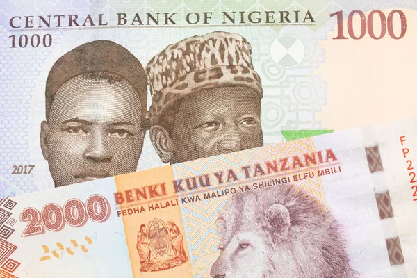 Makroobraz Niebieskiego Fioletowego Zielonego Banknotu Tysiąca Naira Nigerii Połączony Pomarańczowo — Zdjęcie stockowe