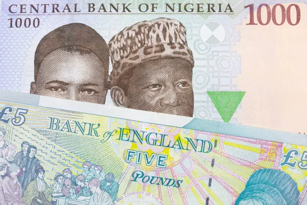 나이지리아에서 발행되는 파란색 보라색 초록색으로 1000 나이르 지폐의 매크로 이미지는 — 스톡 사진