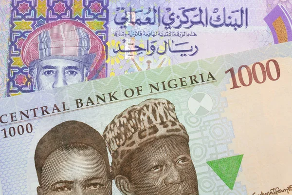 Makro Bild Blå Lila Och Grön Tusen Naira Från Nigeria — Stockfoto