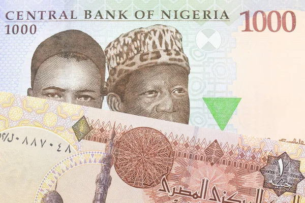 나이지리아에서 발행되는 파란색 보라색 초록색의 000 나이르 지폐의 매크로 이미지와 — 스톡 사진
