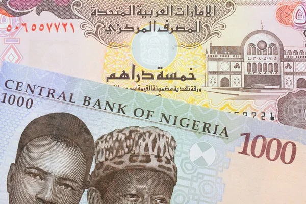 Макро Изображение Синей Фиолетовой Зеленой Банкноты Тысячу Найр Нигерии Паре — стоковое фото