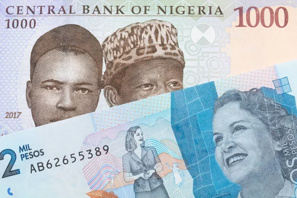 나이지리아에서 발행되는 파란색 보라색 초록색의 000 나이르 지폐의 매크로 이미지와 — 스톡 사진