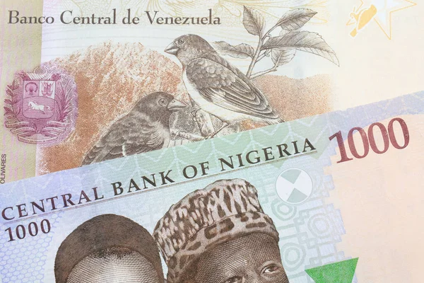 ナイジェリアの青 緑の1 000ナイラ紙幣のマクロ画像とベネズエラのカラフルな100ボリバル銀行券のメモが組み合わせられています マクロでショットを閉じる — ストック写真