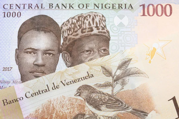 Makroobraz Niebieskiego Fioletowego Zielonego Banknotu Tysiąca Naira Nigerii Połączony Kolorowym — Zdjęcie stockowe