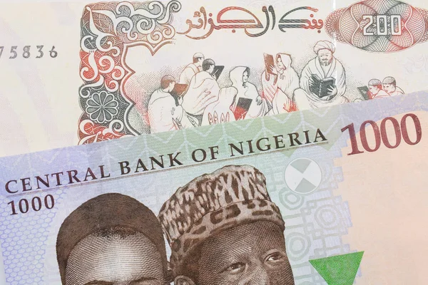 stock image A macro image of a blue, purple and green one thousand  naira note from Nigeria paired up with a beige 200 Algerian dinar bank note.  Shot close up in macro.