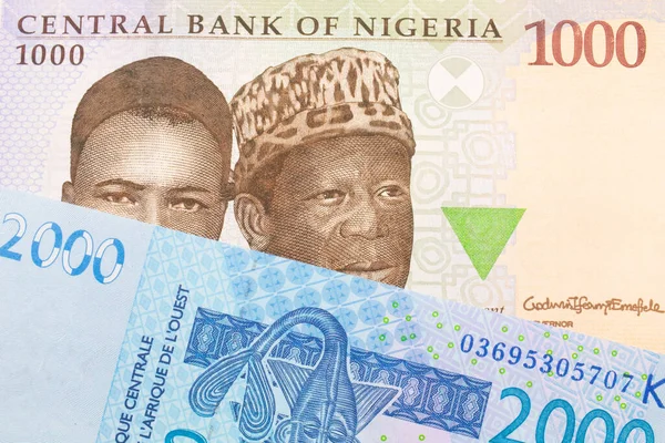 stock image A macro image of a blue, purple and green one thousand  naira note from Nigeria paired up with a blue, two thousand West African franc bank note.  Shot close up in macro.