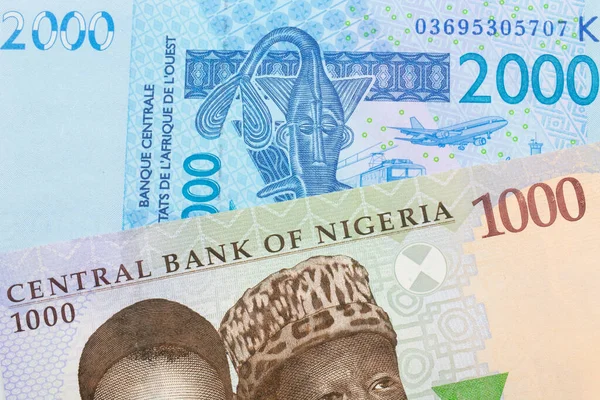 Makrobild Blå Lila Och Grön 000 Naira Sedel Från Nigeria — Stockfoto