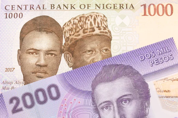 나이지리아에서 발행되는 푸른색 보라색 초록색의 000 나이르 지폐의 매크로 이미지와 — 스톡 사진