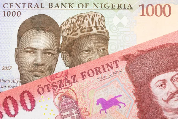 나이지리아 발행되는 푸른색 보라색 초록색 000 나이르 모양의 지폐가 항가리 — 스톡 사진