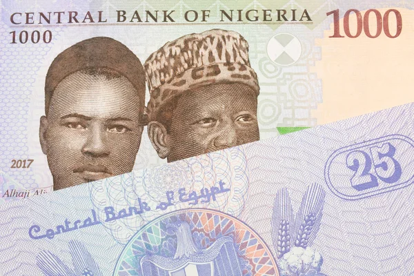 나이지리아 푸른색 보라색 초록색 000 나이르 모양의 지폐가 이집트 로부터 — 스톡 사진