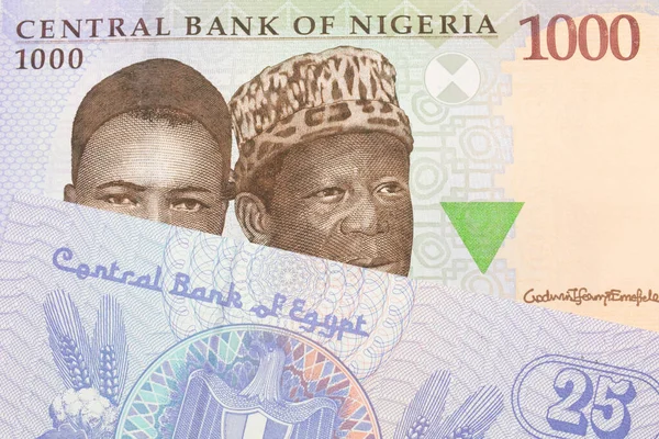 Макро Зображення Синьої Фіолетової Зеленої Банкноти Тисячу Найр Нігерії Парі — стокове фото