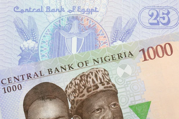나이지리아 푸른색 보라색 초록색 000 나이르 모양의 지폐가 이집트 로부터 — 스톡 사진