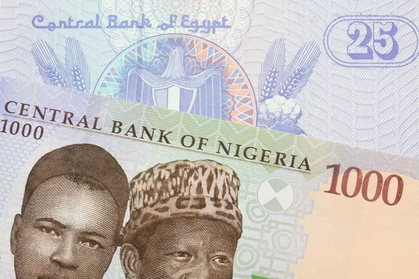 Makroobraz Niebieskiego Fioletowego Zielonego Banknotu Tysiąca Naira Nigerii Połączony Niebieskim — Zdjęcie stockowe