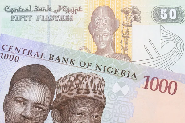 Makroobraz Niebieskiego Fioletowego Zielonego Banknotu Tysiąca Naira Nigerii Połączony Zieloną — Zdjęcie stockowe