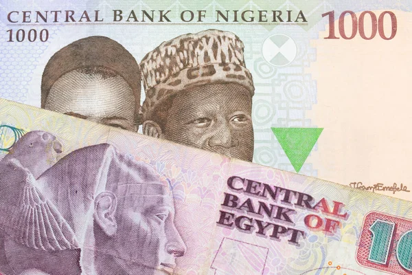 나이지리아 푸른색 보라색 초록색 000 나이르 지폐를 이집트 가져온 분홍색 — 스톡 사진