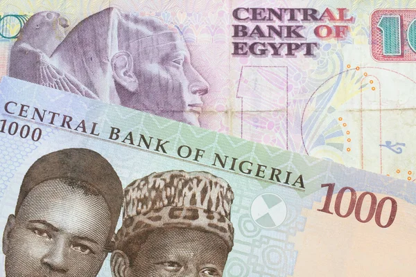 Nijerya 'dan gelen mavi, mor ve yeşil bin nairalık bir banknotun makro görüntüsü, Mısır' dan gelen pembe ve mor bir 10 pound 'luk banknotla eşleştirildi. Makro çekimde yakın çekim.
