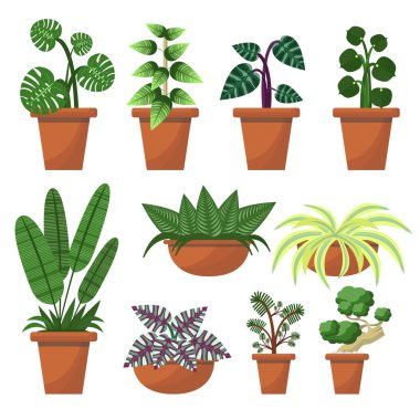 Beyaz arkaplanda terracotta saksı koleksiyonu.