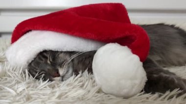 Kırmızı Noel Baba şapkalı sevimli tavşan kafası, karalama tarzında yeni yılın el çizimi sembolü, çocuk tekstili, oda dekorasyonu, poster, çıkartma, logo, bebek moda tasarımı..