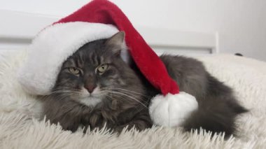 Kırmızı Noel Baba şapkalı Noel Baba evde hafif yumuşak ekose üzerine uzanmış, 2023 yılının gözde sembolü, gerçekten önde görünüyor, kostümlü Noel arifesi, yatay görüntü, Çin burcu. 