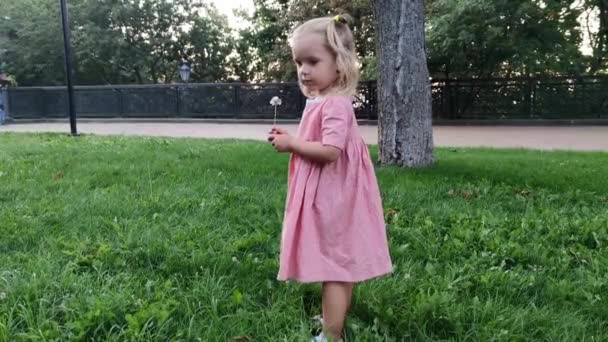 Bahar Parkında Tatlı Sarışın Küçük Bir Kız Karahindiba Üfleme Topu — Stok video
