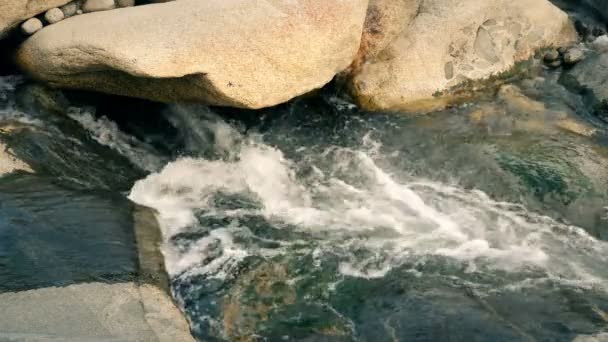 溪流中的径流岩石 — 图库视频影像