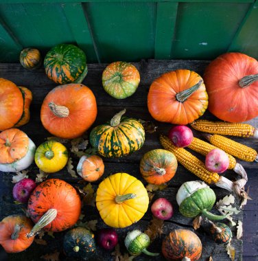Sonbahar Şükran Günü kartında balkabakları