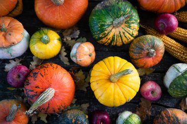 Sonbahar Şükran Günü kartında balkabakları