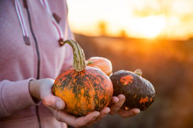 Sonbahar günışığında balkabağı tutan kadın