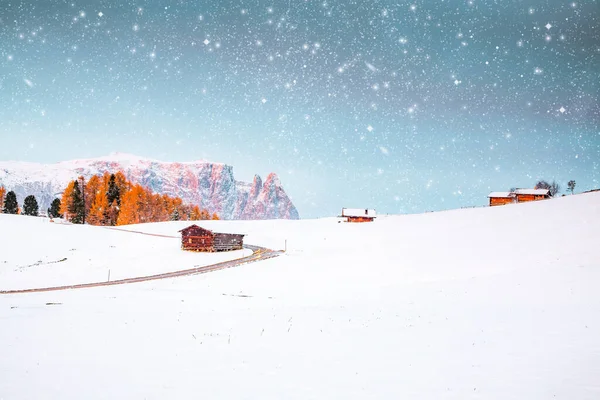 Alpe Siusi Gün Doğumunda Kar Yağan Muhteşem Kış Manzarası Dolomitler — Stok fotoğraf
