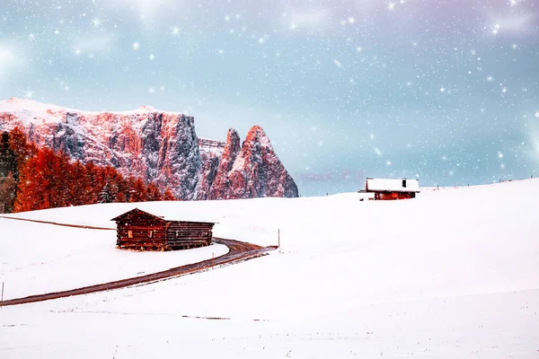 Niesamowity Zimowy Krajobraz Śniegiem Wschodzie Słońca Alpe Siusi Dolomity Włochy — Zdjęcie stockowe