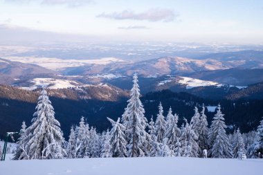 Dağlarda karlı köknar ağaçları olan inanılmaz kış manzarası
