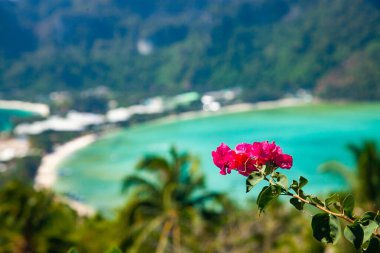 Koh Phi Tayland 'da güzel bir manzara.