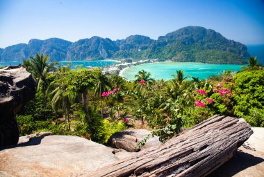 Koh Phi Tayland 'da güzel bir manzara.