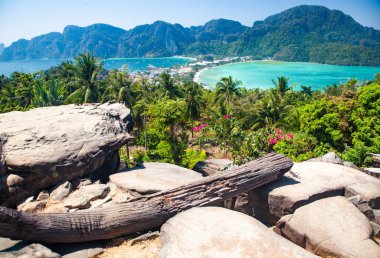 Koh Phi Tayland 'da güzel bir manzara.