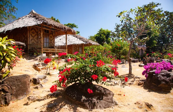 stock image beautiful tropical garden with exotic plants