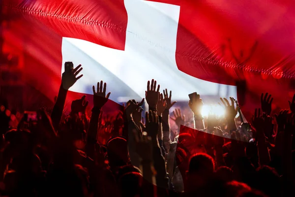Kibice Piłki Nożnej Wspierający Szwajcarię Tłum Świętujący Stadionie Podniesionymi Rękami — Zdjęcie stockowe
