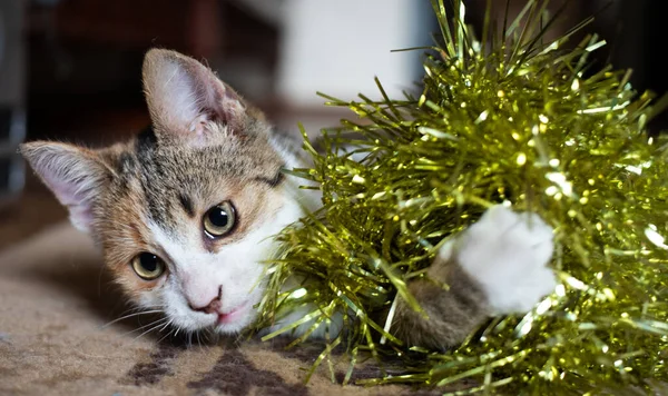 Lindo Pequeño Gato Jugando Con Guirnalda Navidad — Foto de Stock